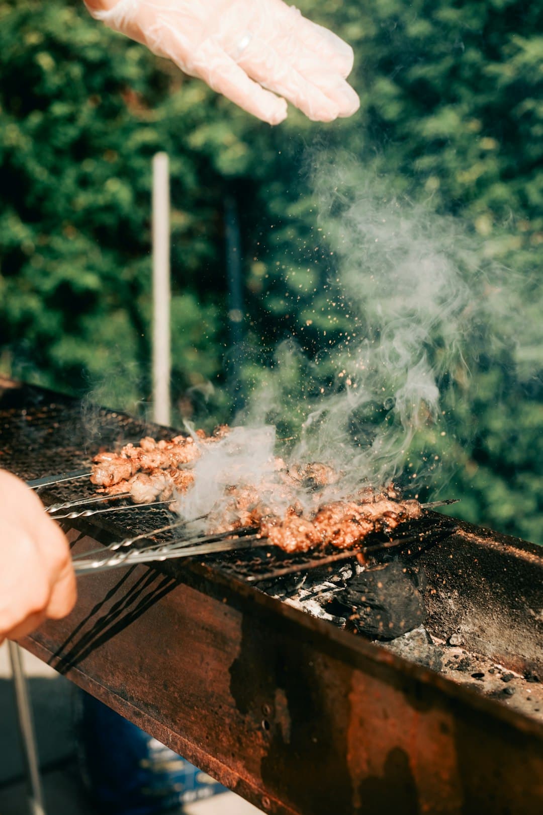 A Ciência da Crosta Perfeita: Domine a Reação de Maillard no Churrasco